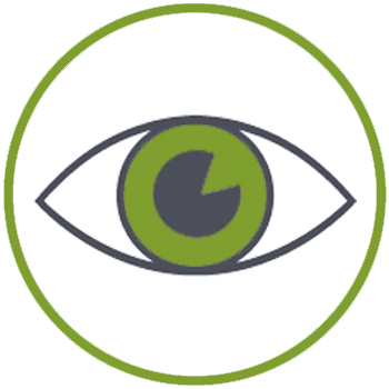 Vision Logo